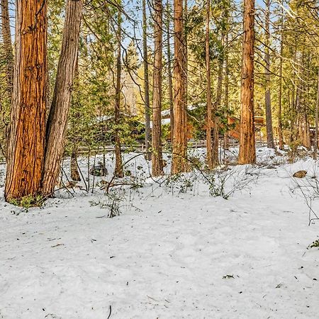 فندق آيديلوايلفي  Creekside Cabin المظهر الخارجي الصورة