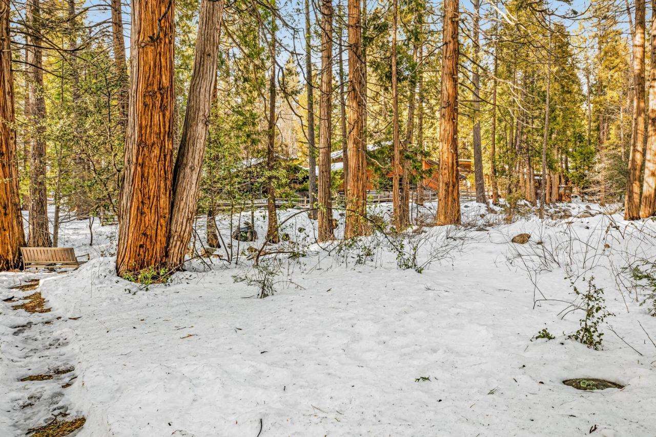 فندق آيديلوايلفي  Creekside Cabin المظهر الخارجي الصورة